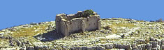 tureta
